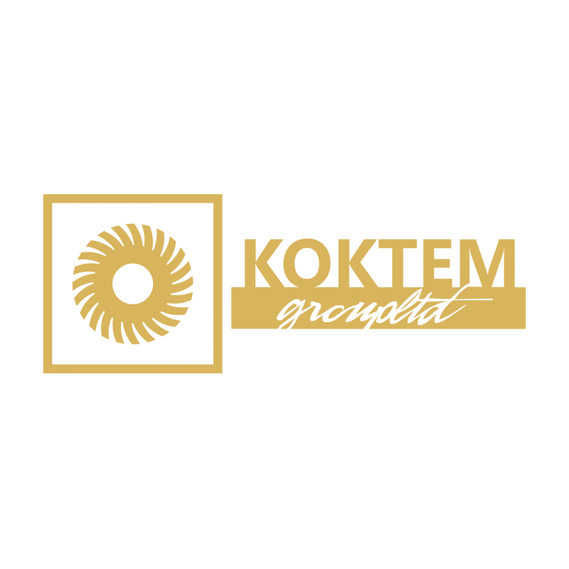 Корпоративный сайт и фирменный стиль KOKTEM